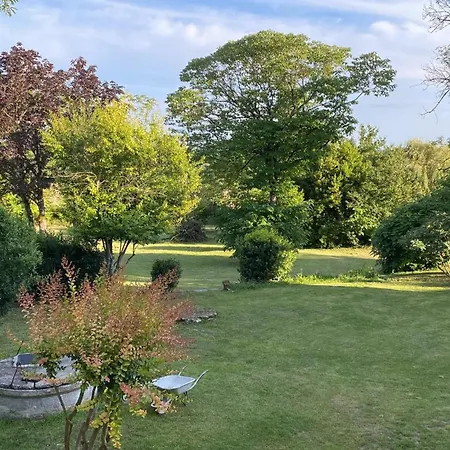 Luxury - L'ancien Chai *