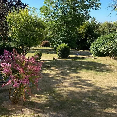 Luxury - L'ancien Chai エイメ